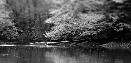 电话轰炸在线免费