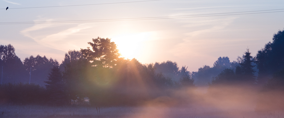网络短信在线发送