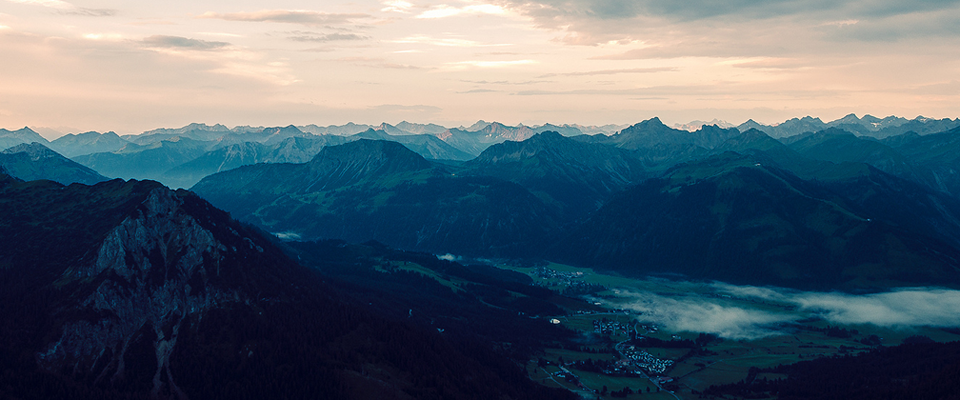 呼死你在线使用